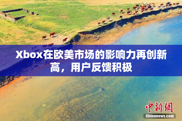 Xbox在欧美市场的影响力再创新高，用户反馈积极
