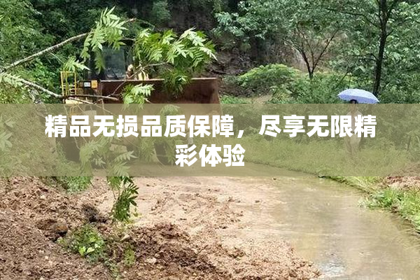 精品无损品质保障，尽享无限精彩体验