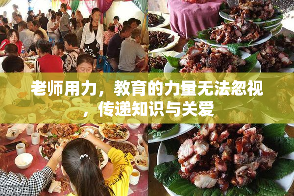 老师用力，教育的力量无法忽视，传递知识与关爱