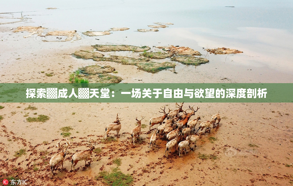 探索▓成人▓天堂：一场关于自由与欲望的深度剖析