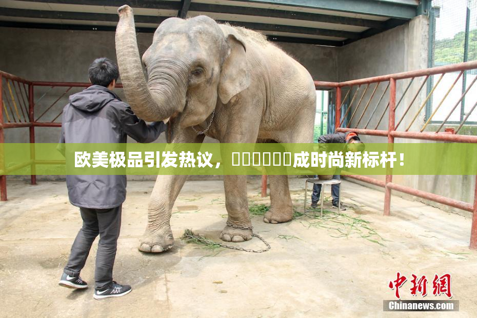 欧美极品引发热议，❌‌❌‌❌‌成时尚新标杆！
