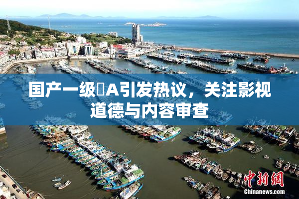 国产一级婬A引发热议，关注影视道德与内容审查