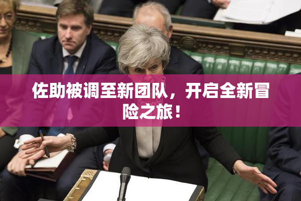 佐助被调至新团队，开启全新冒险之旅！