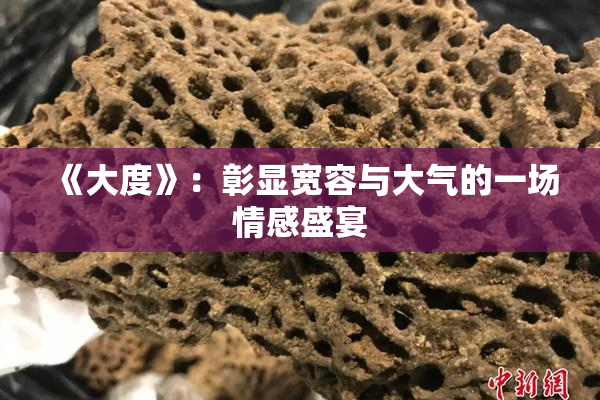 《大度》：彰显宽容与大气的一场情感盛宴