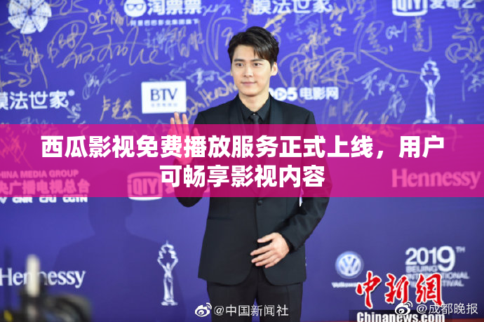 西瓜影视免费播放服务正式上线，用户可畅享影视内容
