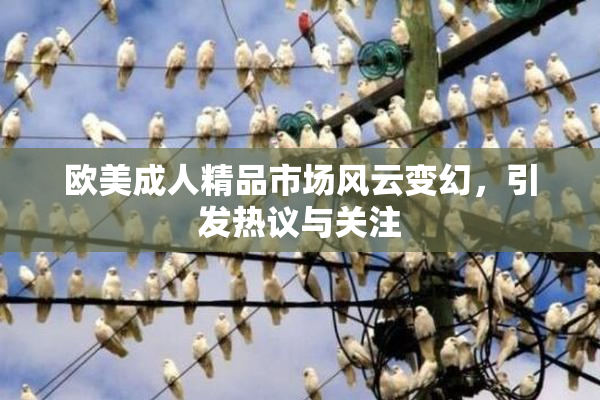 欧美成人精品市场风云变幻，引发热议与关注