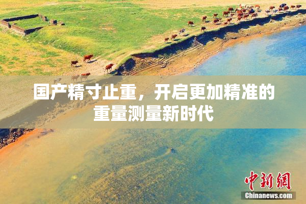 国产精寸止重，开启更加精准的重量测量新时代