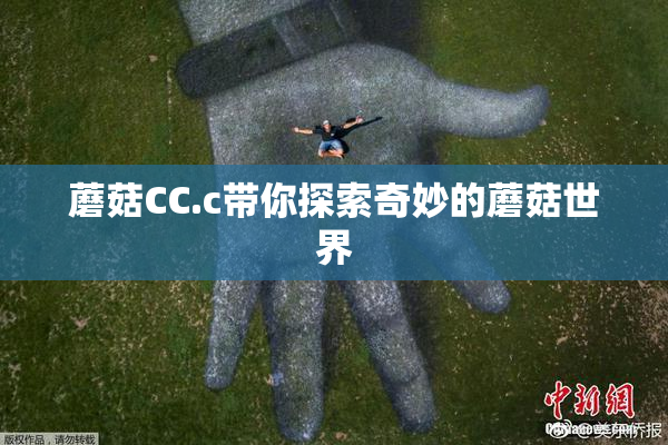 蘑菇CC.c带你探索奇妙的蘑菇世界