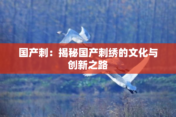 国产刺：揭秘国产刺绣的文化与创新之路