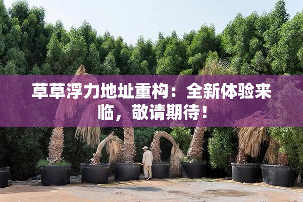 草草浮力地址重构：全新体验来临，敬请期待！