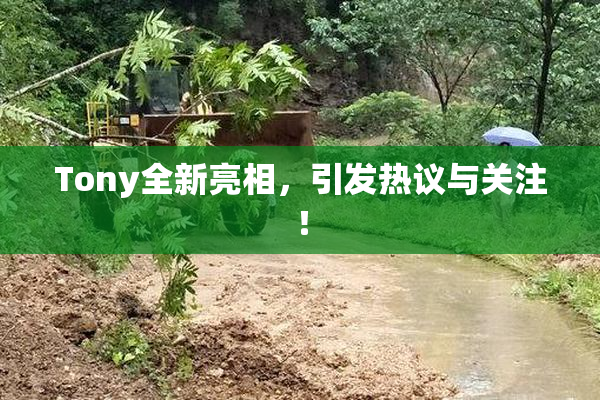 Tony全新亮相，引发热议与关注！