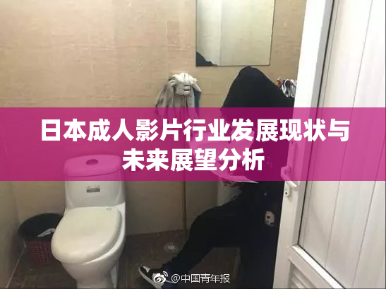 日本成人影片行业发展现状与未来展望分析