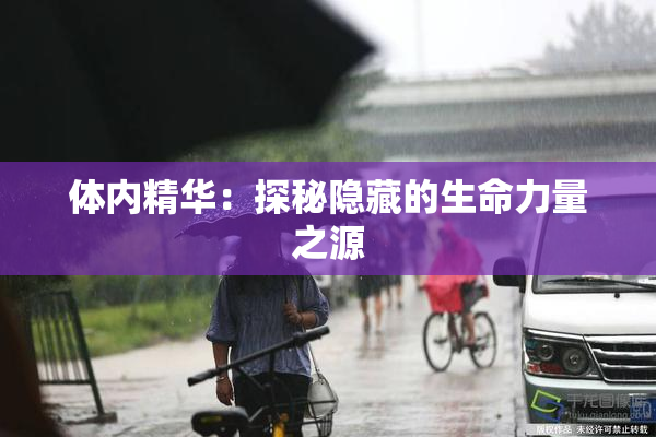 体内精华：探秘隐藏的生命力量之源