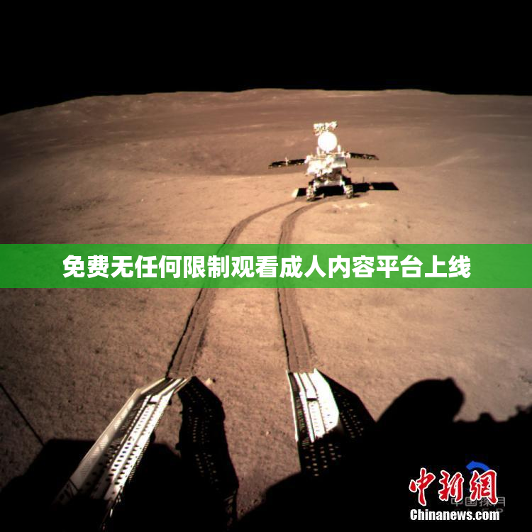 免费无任何限制观看成人内容平台上线
