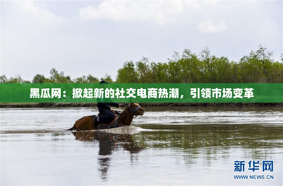 黑瓜网：掀起新的社交电商热潮，引领市场变革