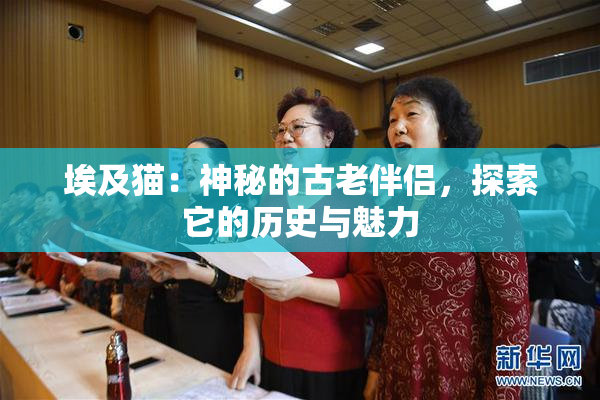 埃及猫：神秘的古老伴侣，探索它的历史与魅力