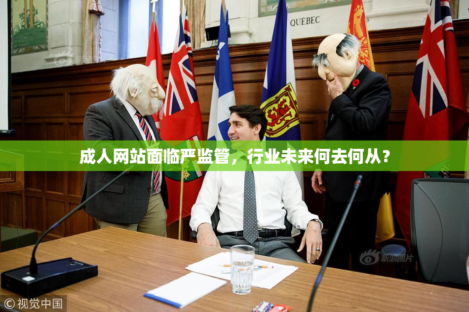 成人网站面临严监管，行业未来何去何从？