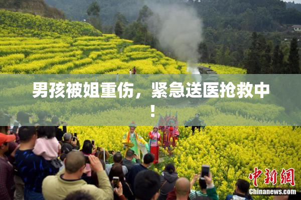 男孩被姐重伤，紧急送医抢救中！