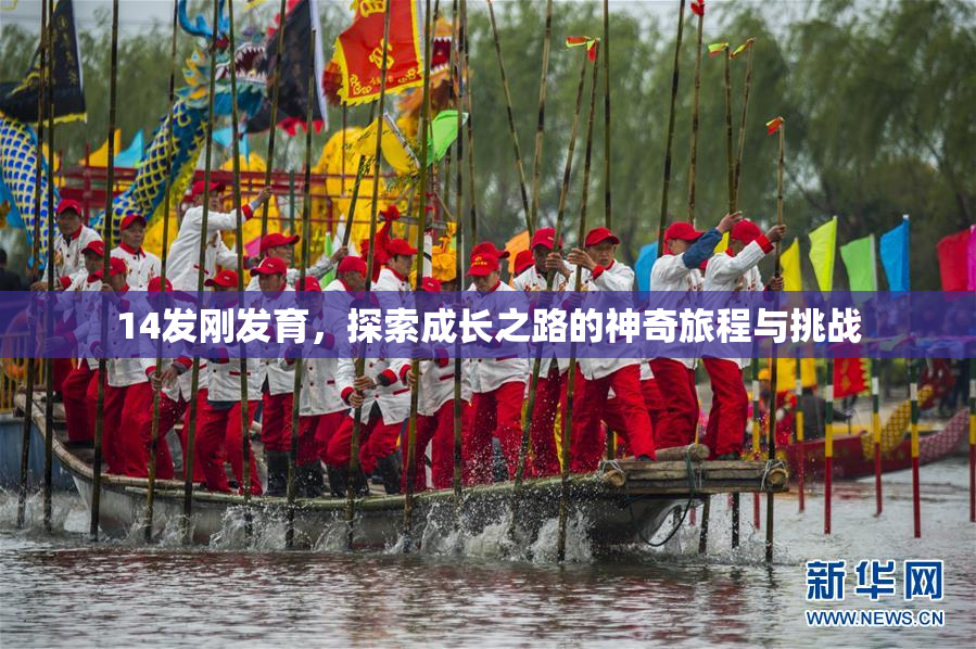 14发刚发育，探索成长之路的神奇旅程与挑战