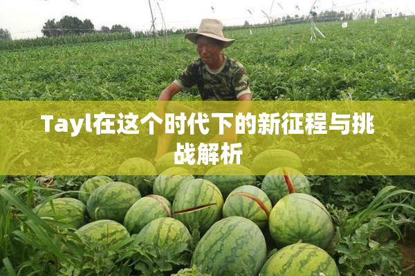 Tayl在这个时代下的新征程与挑战解析