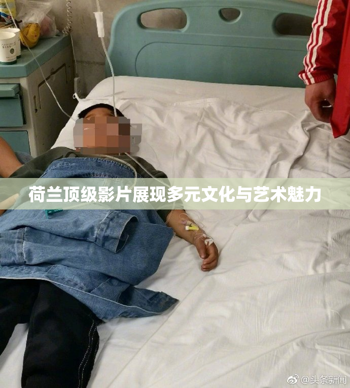荷兰顶级影片展现多元文化与艺术魅力