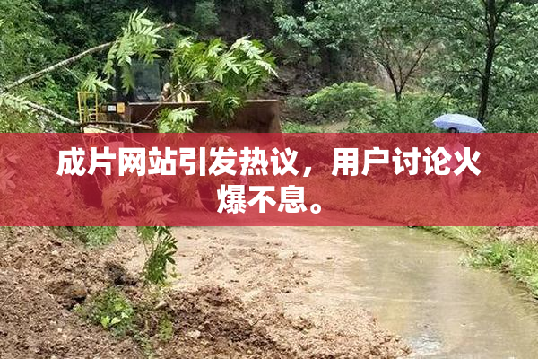 成片网站引发热议，用户讨论火爆不息。