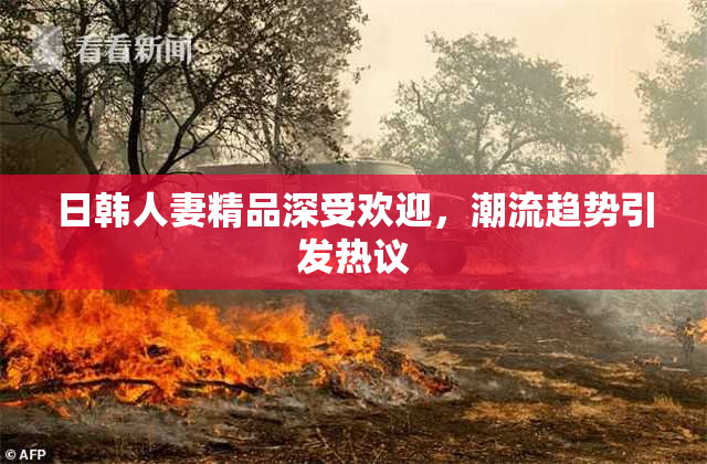 日韩人妻精品深受欢迎，潮流趋势引发热议