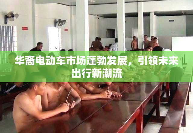 华裔电动车市场蓬勃发展，引领未来出行新潮流