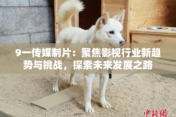 9一传媒制片：聚焦影视行业新趋势与挑战，探索未来发展之路