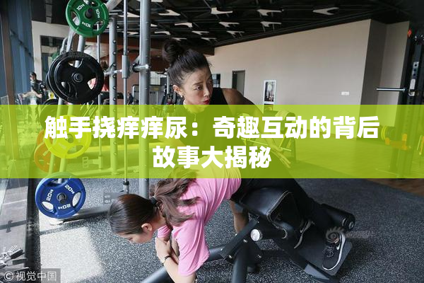 触手挠痒痒尿：奇趣互动的背后故事大揭秘