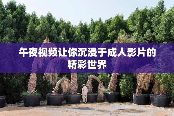 午夜视频让你沉浸于成人影片的精彩世界
