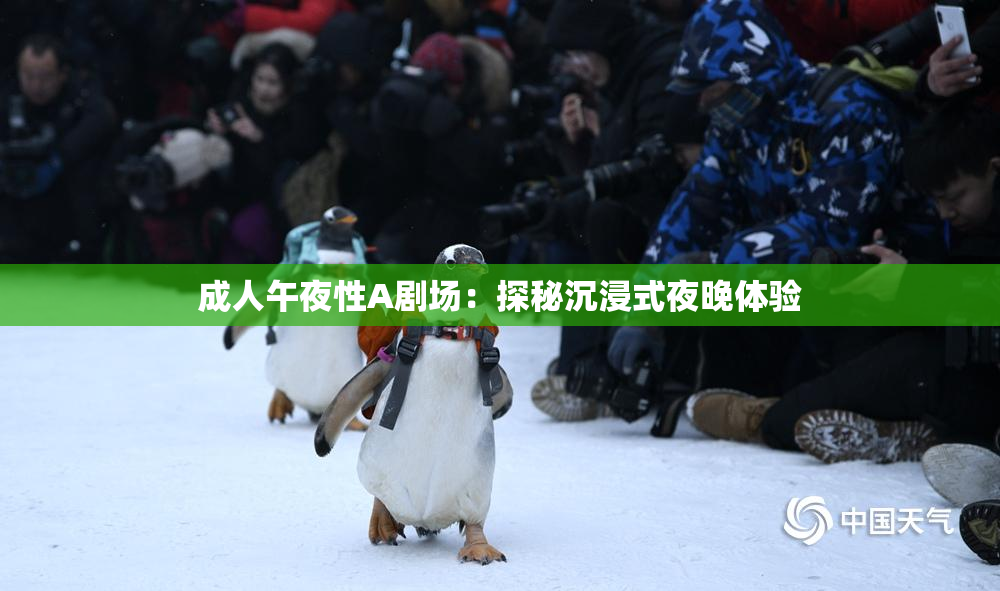 成人午夜性A剧场：探秘沉浸式夜晚体验