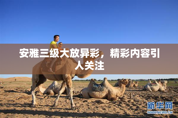 安雅三级大放异彩，精彩内容引人关注
