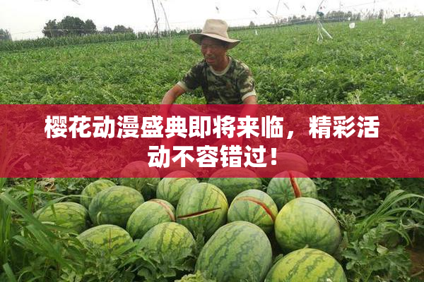 樱花动漫盛典即将来临，精彩活动不容错过！