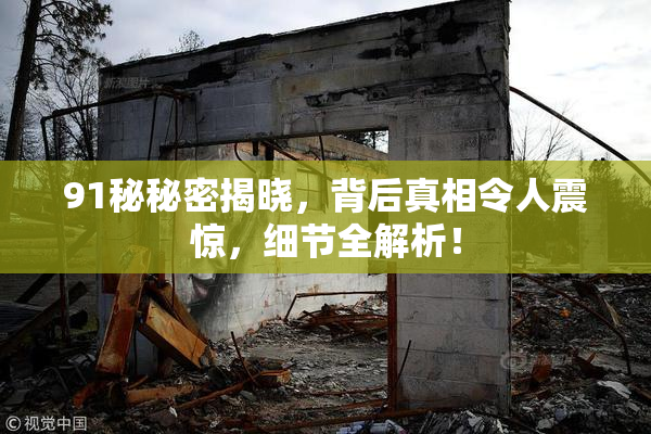 91秘秘密揭晓，背后真相令人震惊，细节全解析！
