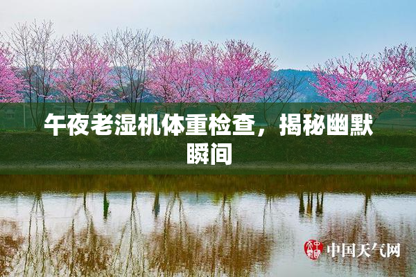 午夜老湿机体重检查，揭秘幽默瞬间