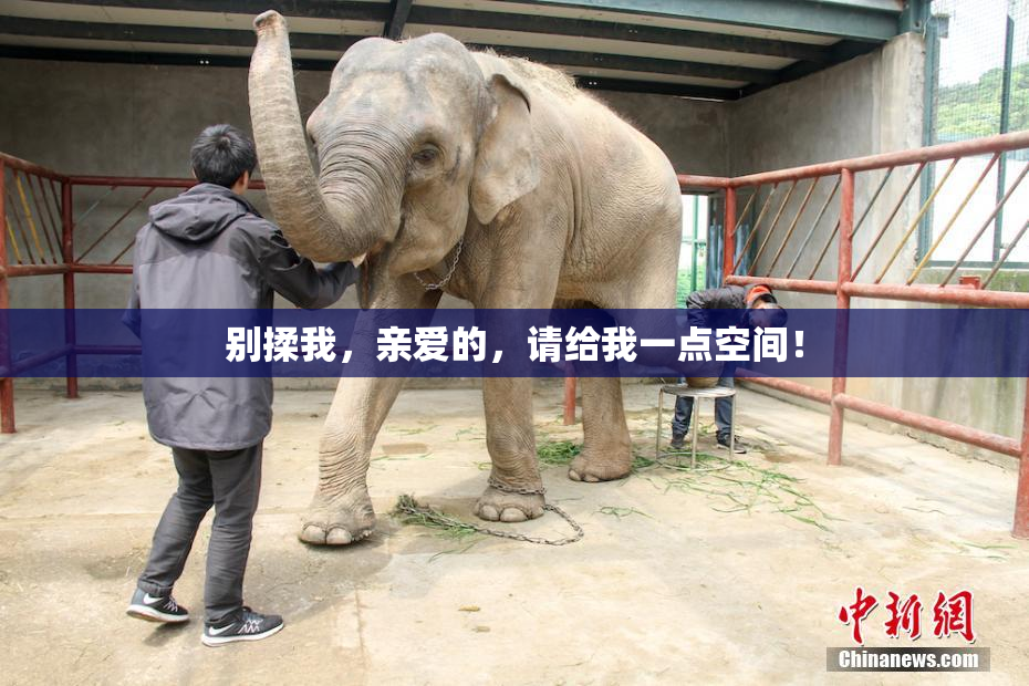 别揉我，亲爱的，请给我一点空间！