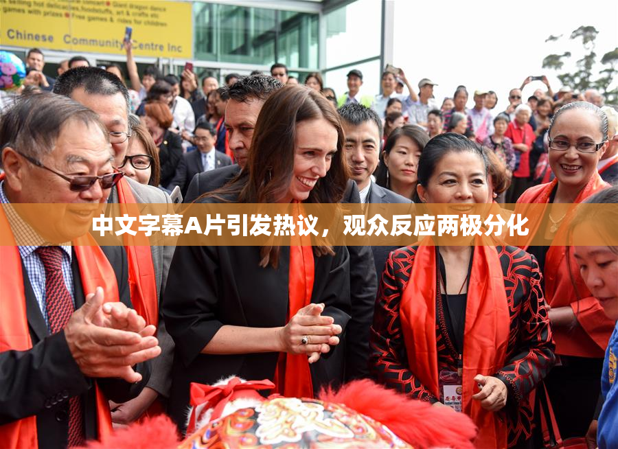 中文字幕A片引发热议，观众反应两极分化