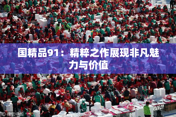 国精品91：精粹之作展现非凡魅力与价值
