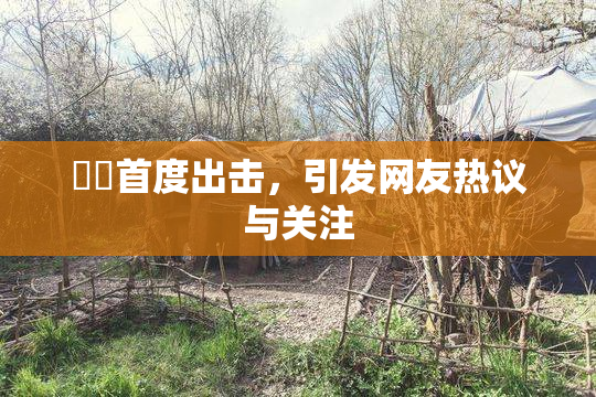 妺妺首度出击，引发网友热议与关注