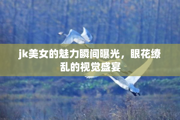 jk美女的魅力瞬间曝光，眼花缭乱的视觉盛宴