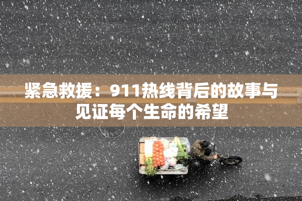 紧急救援：911热线背后的故事与见证每个生命的希望