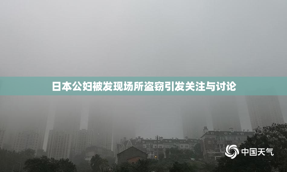 日本公妇被发现场所盗窃引发关注与讨论