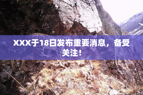 XXX于18日发布重要消息，备受关注！