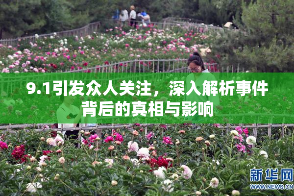 9.1引发众人关注，深入解析事件背后的真相与影响