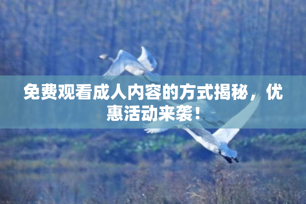 免费观看成人内容的方式揭秘，优惠活动来袭！