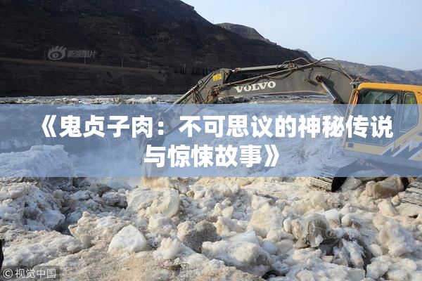 《鬼贞子肉：不可思议的神秘传说与惊悚故事》