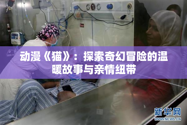 动漫《猫》：探索奇幻冒险的温暖故事与亲情纽带