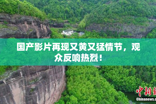 国产影片再现又黄又猛情节，观众反响热烈！