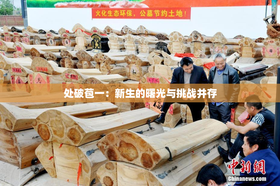 处破苞一：新生的曙光与挑战并存